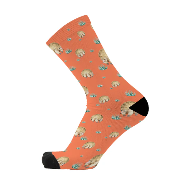 RED FOX SOX | CHARMING ECHIDNA | UNISEX SIZING