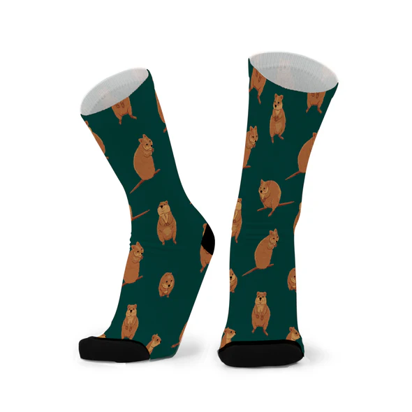 RED FOX SOX - UNISEX SIZING | QUOKK-STAR