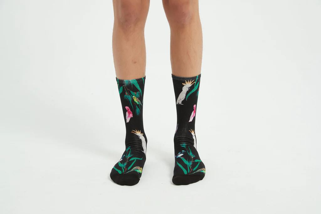 RED FOX SOX | AUSSIE AVIARY | LARGER SIZING