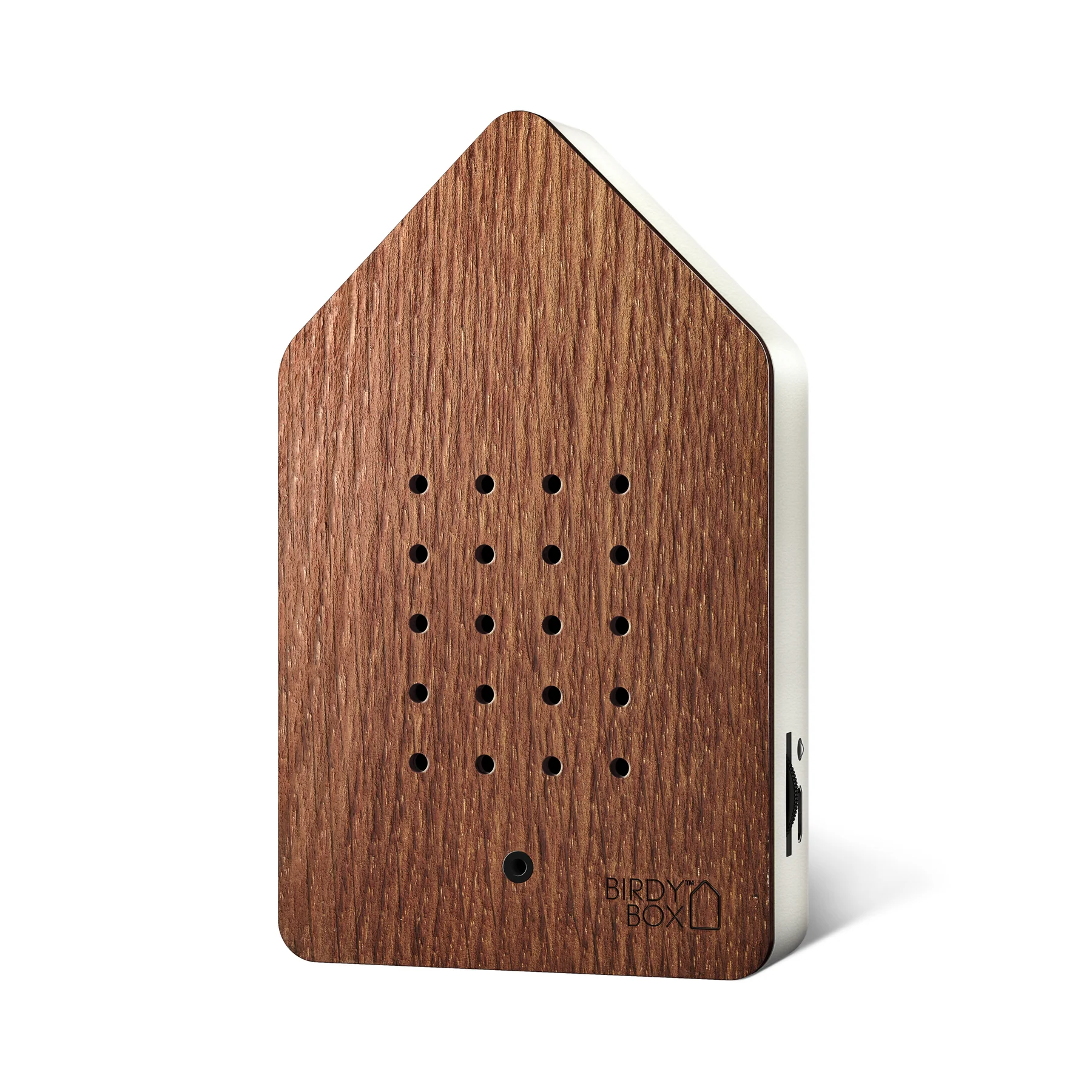 CASA CALM BIRDY BOX l STEAMED OAK