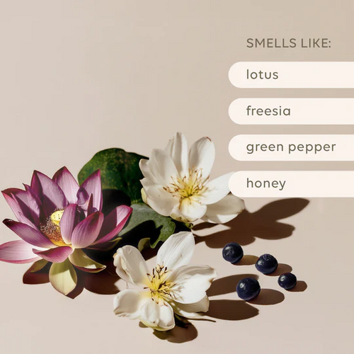 AL.IVE - REED DIFFUSER | GREEN PEPPER & LOTUS