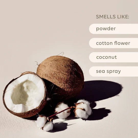 AL.IVE - REED DIFFUSER | SEA COTTON & COCONUT