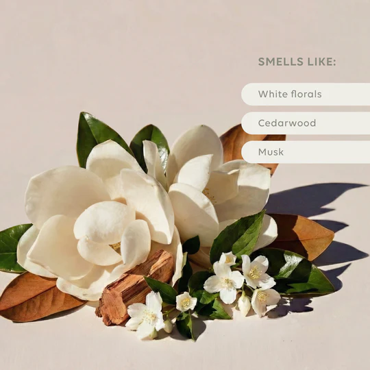 AL.IVE - REED DIFFUSER | IVORY BLOOM