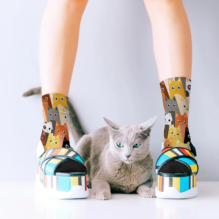 RED FOX SOX - UNISEX SIZING | HERDING CATS